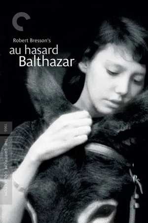 Chú lừa balthazar Chú lừa balthazar