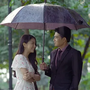 Hoa hồng giấy Hoa hồng giấy