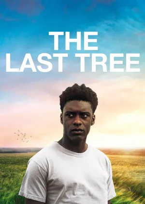 The last tree The last tree